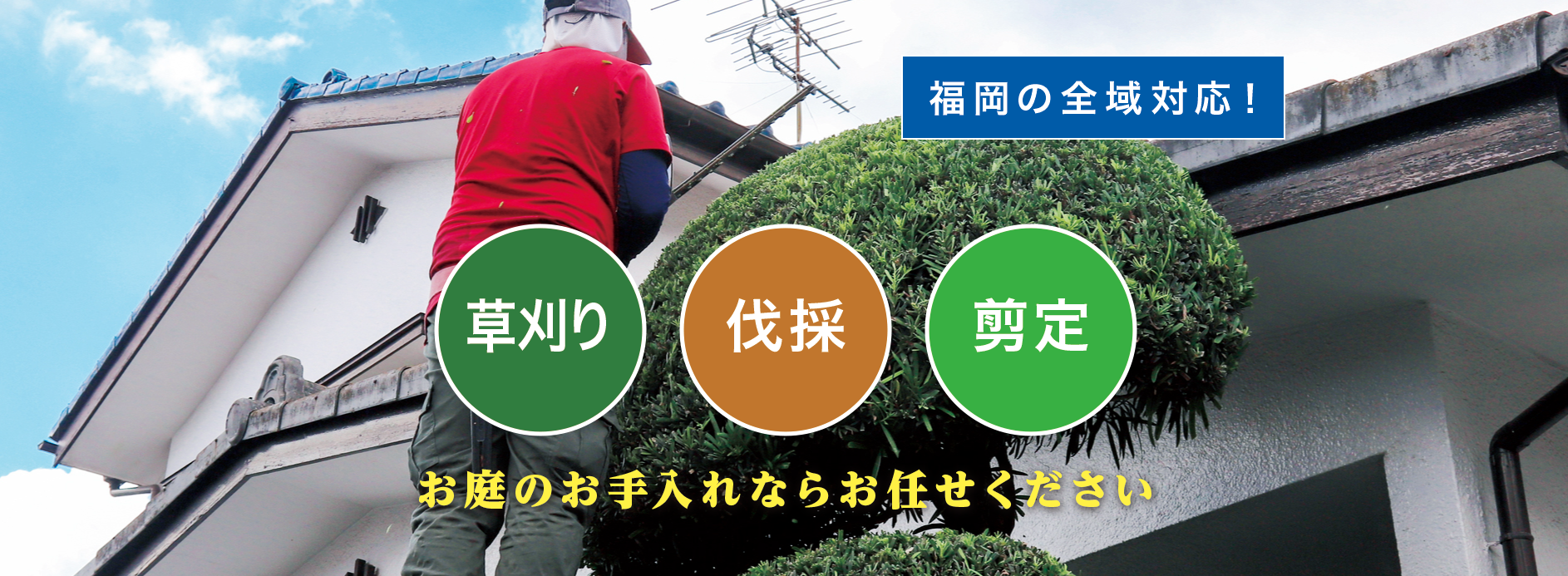 戸畑区で草刈り・剪定・伐採なら「お庭の大将」